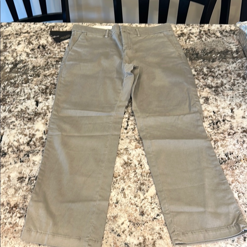 Banana Republic Women’s Tan Pants
